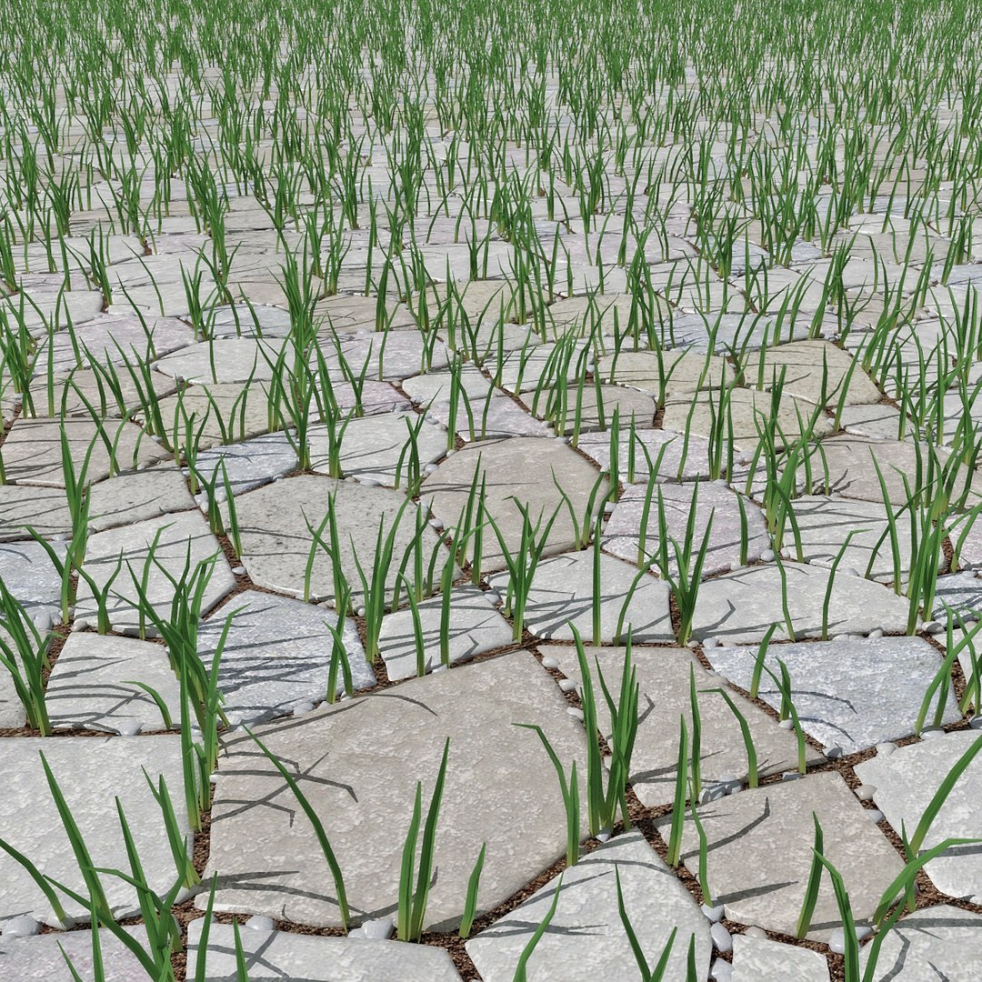 3D Model Paving - TurboSquid 1271092