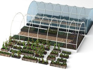 Realistic Organic Vegetable Garden and Rural Farm Scene