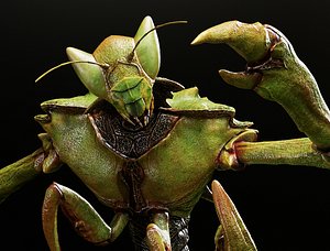 Insectoid Alien Humanoid