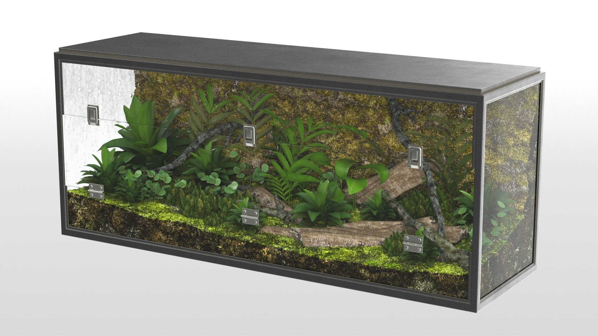 3D Realistic Terrarium - TurboSquid 1470995
