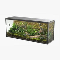 Terrarium