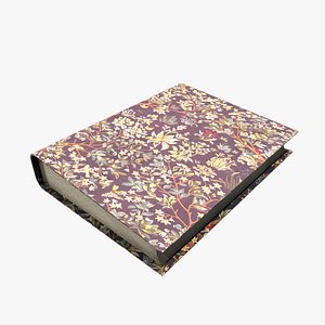 Medieval Book V13 3D model