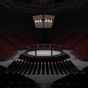 VR MMA Octagon Cage Ring 3D