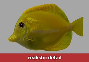 Yellow Tang Fish