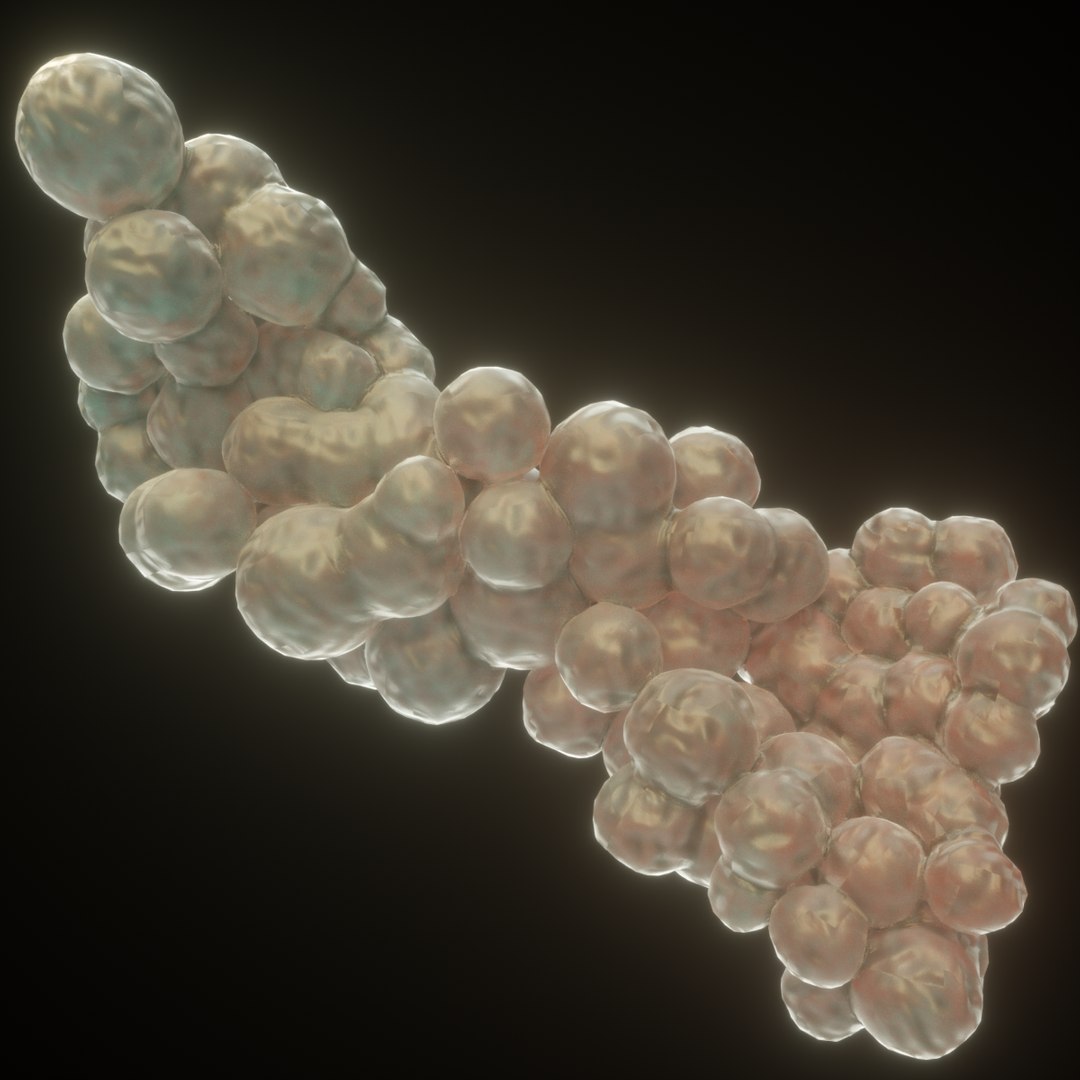 Bacteria Germ 3D Model - TurboSquid 1389562