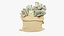 Coffre-fort et sac d'argent Collection V2