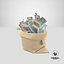 Coffre-fort et sac d'argent Collection V2