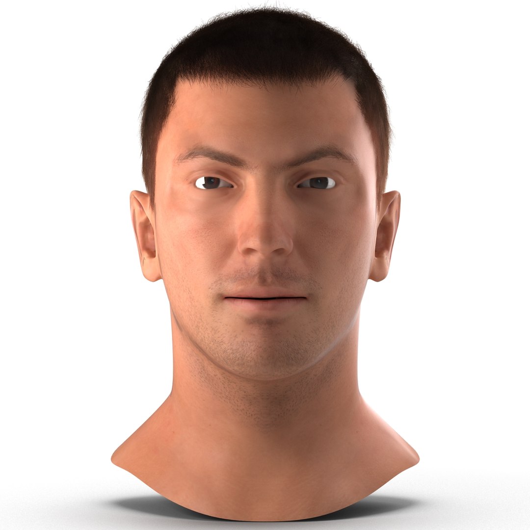 Male Head 3D Model with Hair 3D model preview