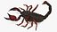 3D model Realistic Scorpion Strikes Fur Animated Rigged