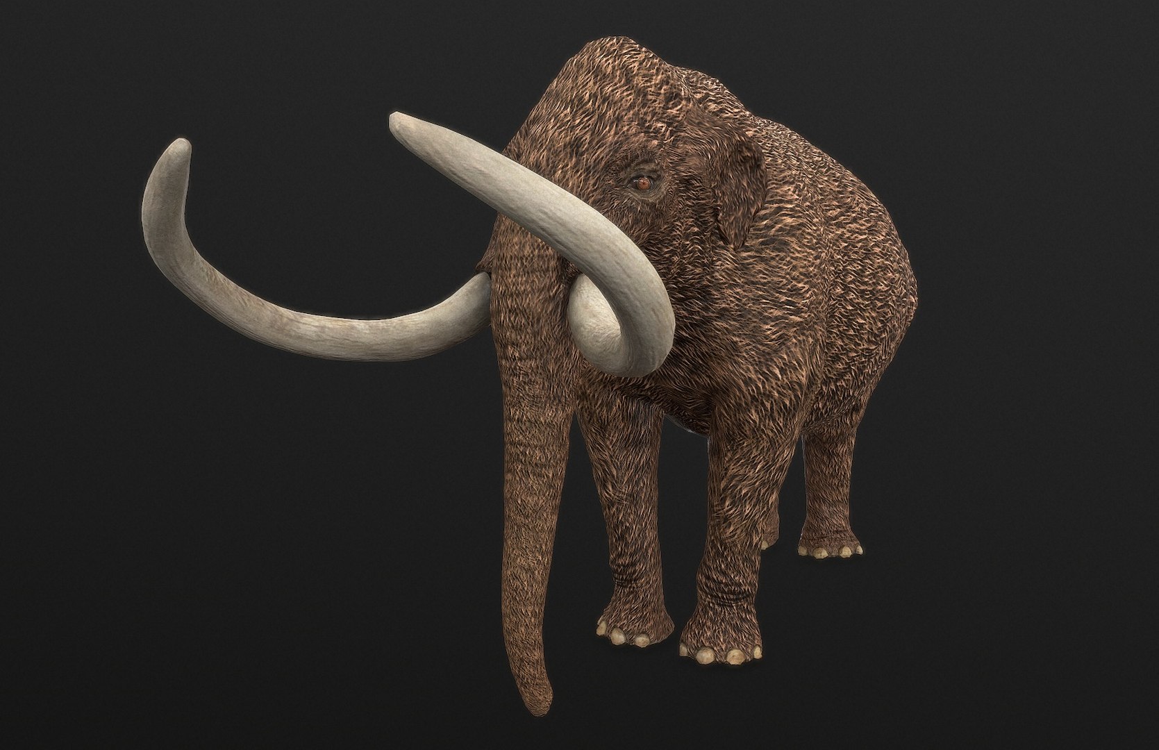 dinosaur rhinoceros 3D model https://p.turbosquid.com/ts-thumb/uY/dmfo4g/1j/180/jpg/1608367695/1920x1080/fit_q87/8c9832b8cac465df40bd9918fdae5ae7c17c95e8/180.jpg