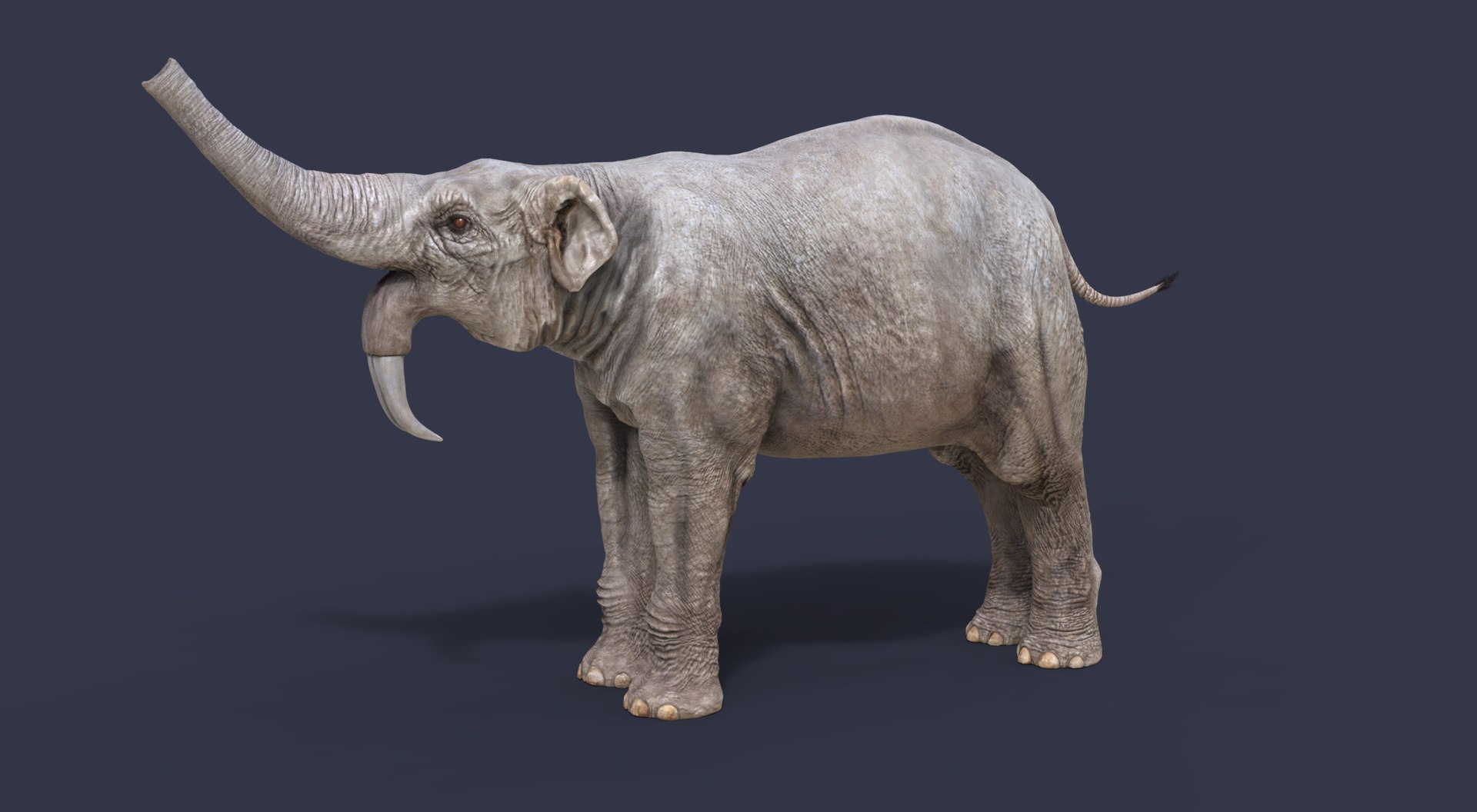 dinosaur rhinoceros 3D model https://p.turbosquid.com/ts-thumb/uY/dmfo4g/3O/187/jpg/1608367697/1920x1080/fit_q87/670ae3b16535f96563229211b2bc26df8e53a40c/187.jpg