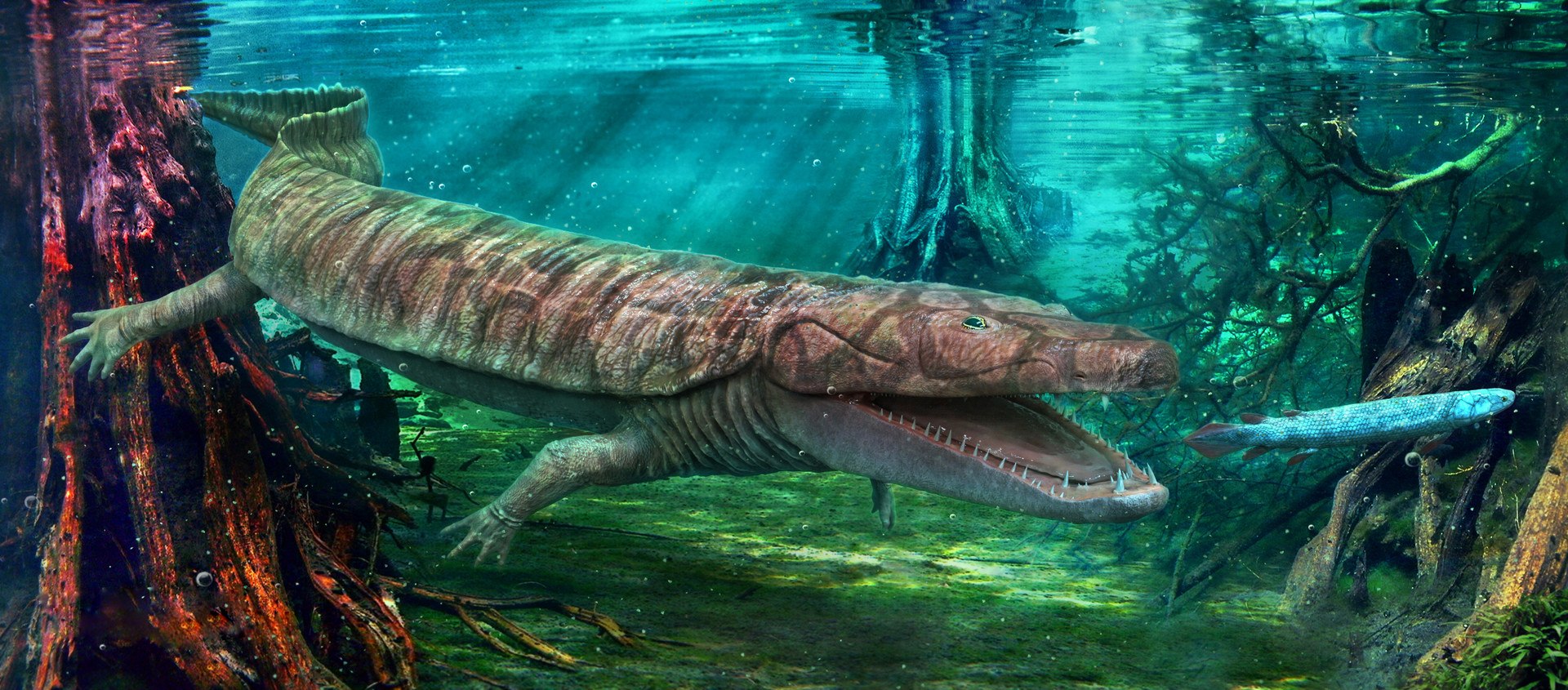 dinosaur rhinoceros 3D model https://p.turbosquid.com/ts-thumb/uY/dmfo4g/8S/115/jpg/1608367675/1920x1080/fit_q87/e453d741c78f1d6cf0310ad102ca98835f6a4b24/115.jpg