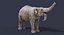 Extinct animals pack version 14