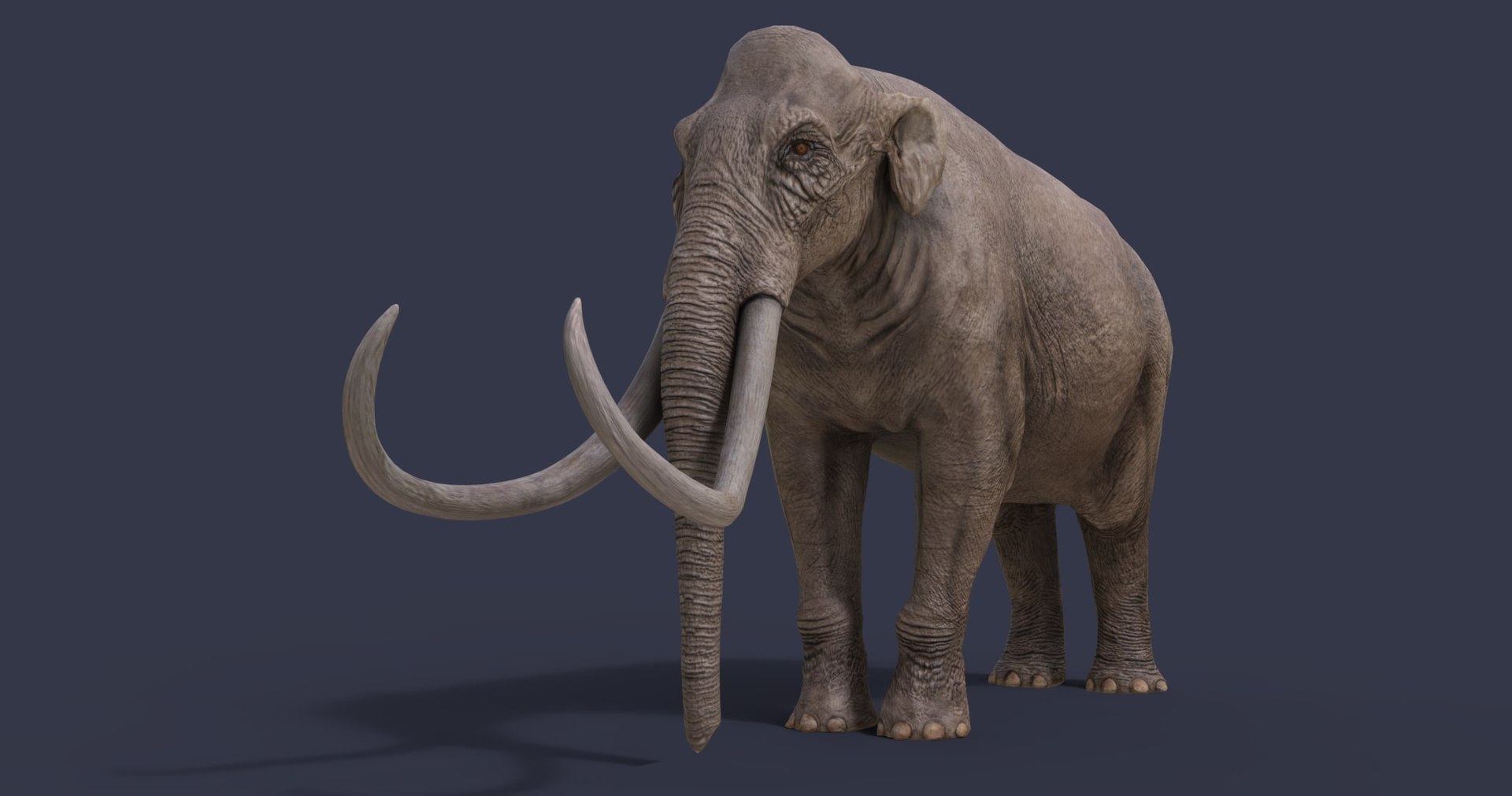 dinosaur rhinoceros 3D model https://p.turbosquid.com/ts-thumb/uY/dmfo4g/Cz/2/jpg/1608367904/1920x1080/fit_q87/8a038eb8d895f704cbe8c11ec19d544fdd7d3072/2.jpg