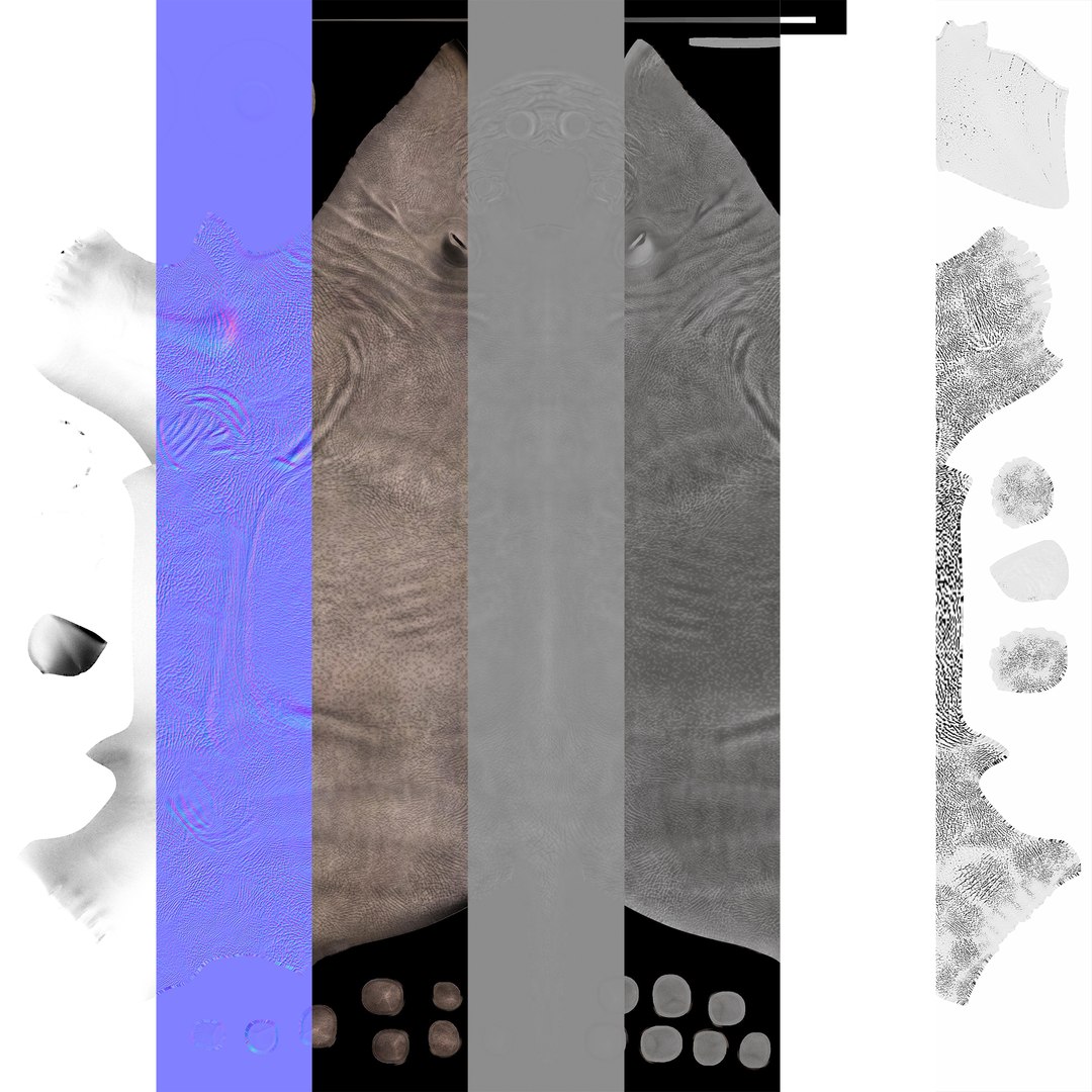 dinosaur rhinoceros 3D model https://p.turbosquid.com/ts-thumb/uY/dmfo4g/DE/111/jpg/1608367670/1920x1080/fit_q87/eec241e8d39fc38c241d7b33f2ffd8a213403e57/111.jpg