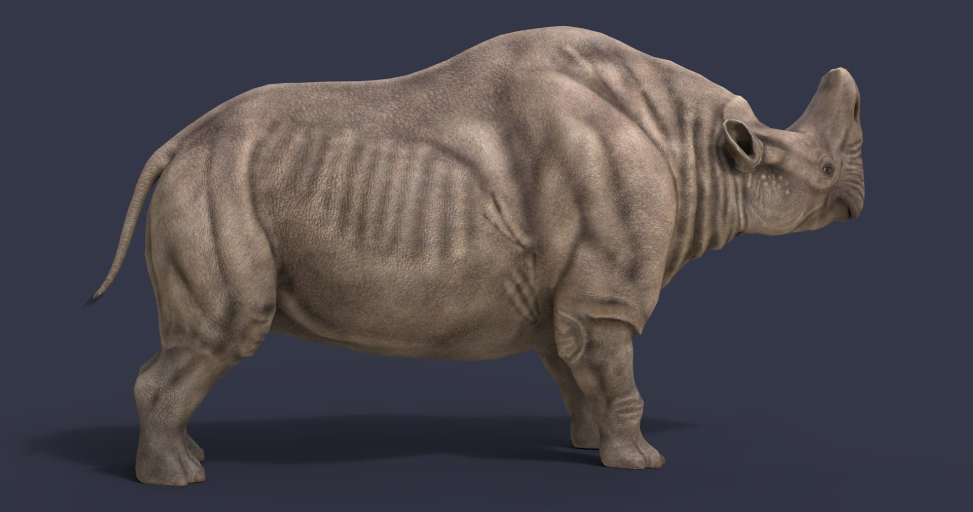 dinosaur rhinoceros 3D model https://p.turbosquid.com/ts-thumb/uY/dmfo4g/E8/43/jpg/1608368716/1920x1080/fit_q87/154fd298b7898c4dc0e8e119c35e9098dae461a1/43.jpg