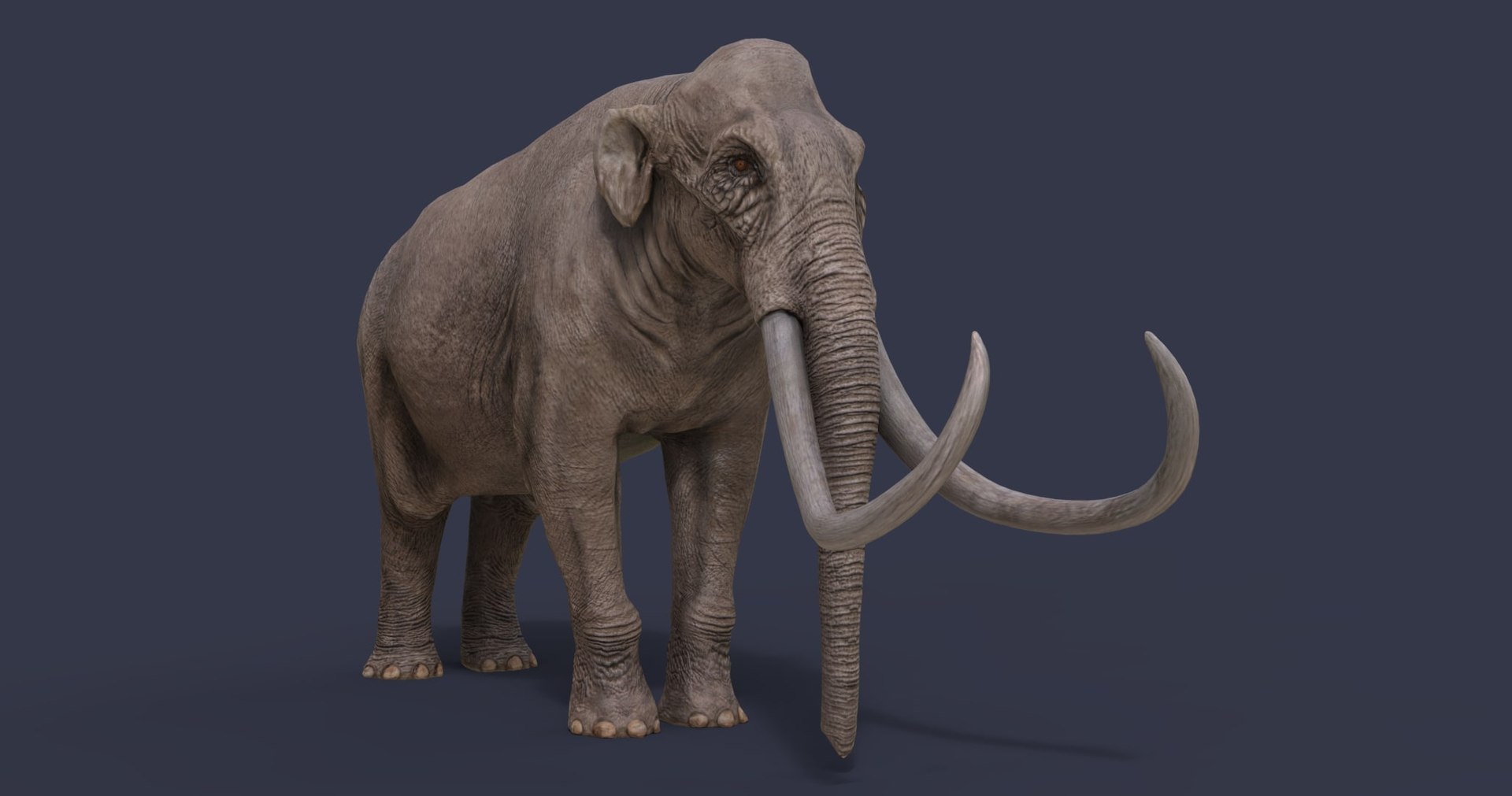 dinosaur rhinoceros 3D model https://p.turbosquid.com/ts-thumb/uY/dmfo4g/MJ/4/jpg/1608368036/1920x1080/fit_q87/0e6ff334aeba0063daa1ba03021676b8531e40c9/4.jpg