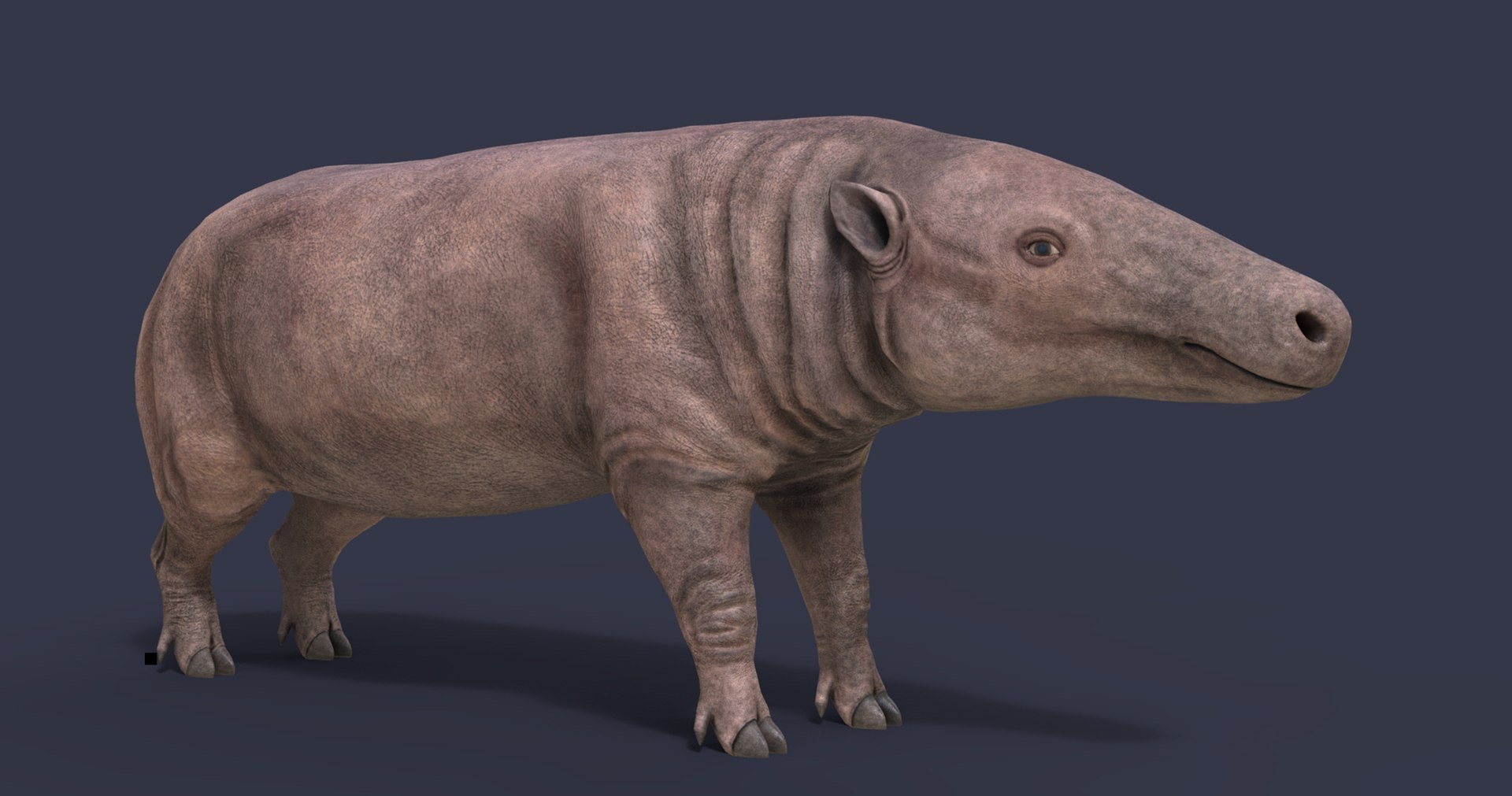 dinosaur rhinoceros 3D model https://p.turbosquid.com/ts-thumb/uY/dmfo4g/MK/16/jpg/1608368074/1920x1080/fit_q87/fa73a84b6f45443d66fc676824f80a3e1459e869/16.jpg