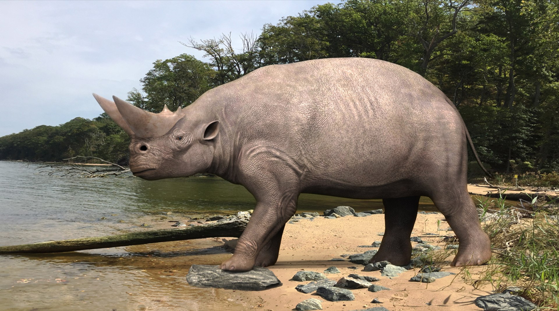 dinosaur rhinoceros 3D model https://p.turbosquid.com/ts-thumb/uY/dmfo4g/Rj/110/jpg/1608367670/1920x1080/fit_q87/d01005f1fedcca396c45932eef011f75885b2a9f/110.jpg