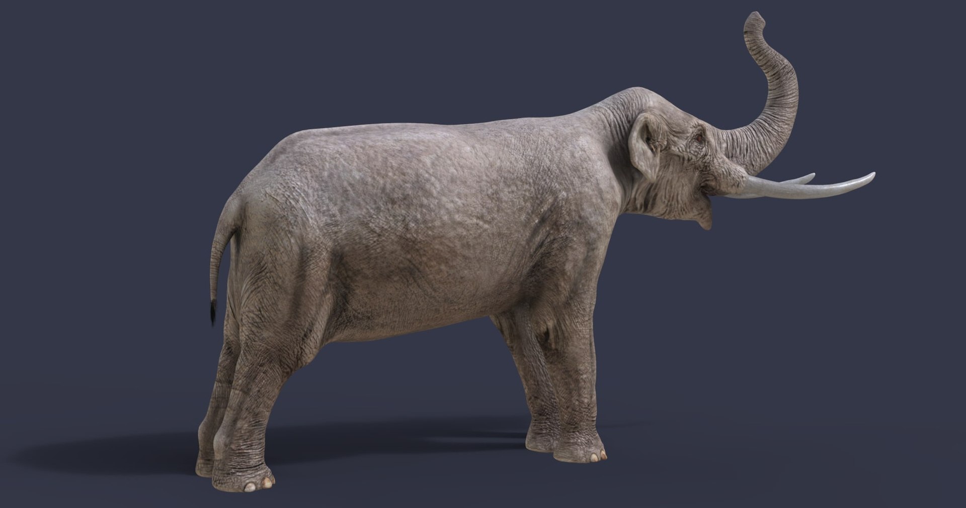 dinosaur rhinoceros 3D model https://p.turbosquid.com/ts-thumb/uY/dmfo4g/Sv/27/jpg/1608368690/1920x1080/fit_q87/40cf1f70b4eb7a5a0731c72ba29ba393ccf6f908/27.jpg