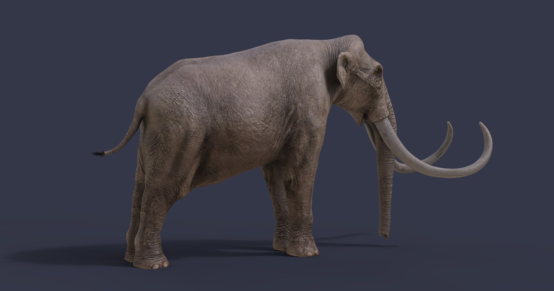 dinosaur rhinoceros 3D model https://p.turbosquid.com/ts-thumb/uY/dmfo4g/UY/8/jpg/1608367663/1920x1080/fit_q87/5d70487336898310c8a24dea57204fe2479df2e3/8.jpg