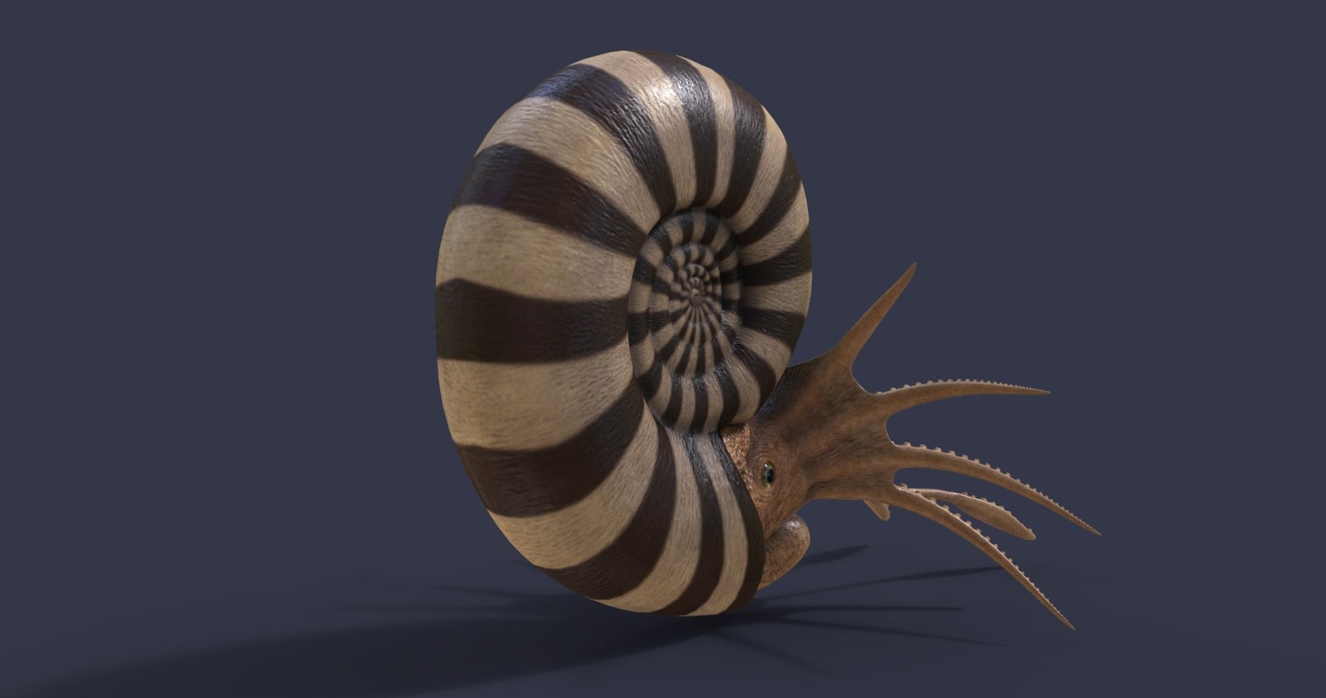 dinosaur rhinoceros 3D model https://p.turbosquid.com/ts-thumb/uY/dmfo4g/ZD/33/jpg/1608368694/1920x1080/fit_q87/126126d9467f20a037741c06995643e1bab4f91f/33.jpg