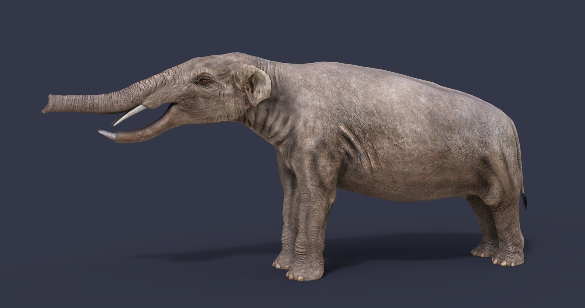 dinosaur rhinoceros 3D model https://p.turbosquid.com/ts-thumb/uY/dmfo4g/gp/47/jpg/1608368712/1920x1080/fit_q87/df8cfb05ac7423247a5cf7e2ac68b31fa9c95a4f/47.jpg
