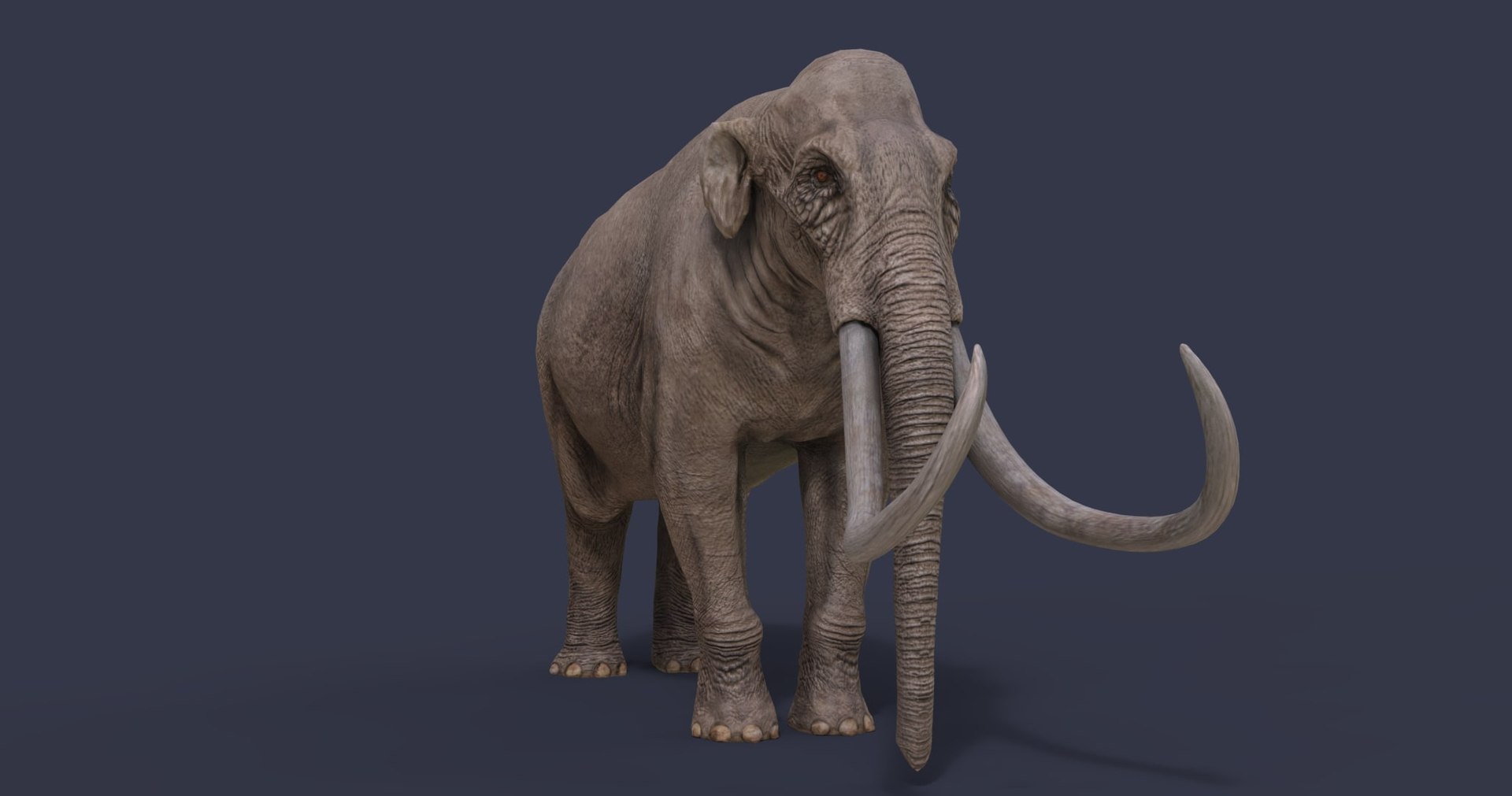 dinosaur rhinoceros 3D model https://p.turbosquid.com/ts-thumb/uY/dmfo4g/hJ/5/jpg/1608368040/1920x1080/fit_q87/4e92f513e796e2fc7979073c4f0e684aed3529d3/5.jpg