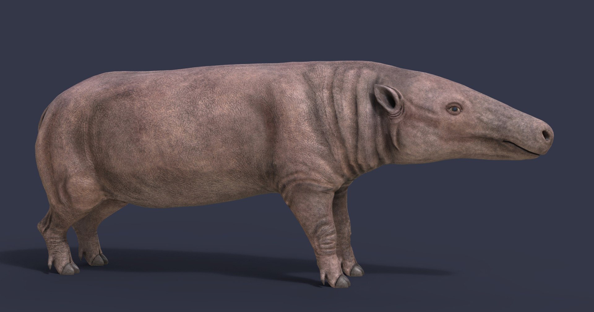 dinosaur rhinoceros 3D model https://p.turbosquid.com/ts-thumb/uY/dmfo4g/hv/17/jpg/1608368079/1920x1080/fit_q87/12ff758758088c6f0b57ee2a00b6a59658a9d479/17.jpg