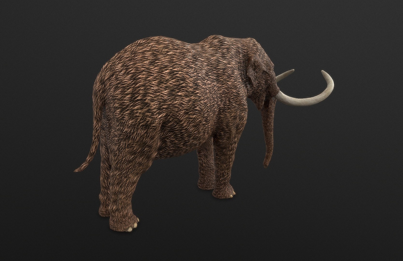 dinosaur rhinoceros 3D model https://p.turbosquid.com/ts-thumb/uY/dmfo4g/jU/184/jpg/1608367696/1920x1080/fit_q87/366d45919f4f057fc44437239b37a759f27a085c/184.jpg