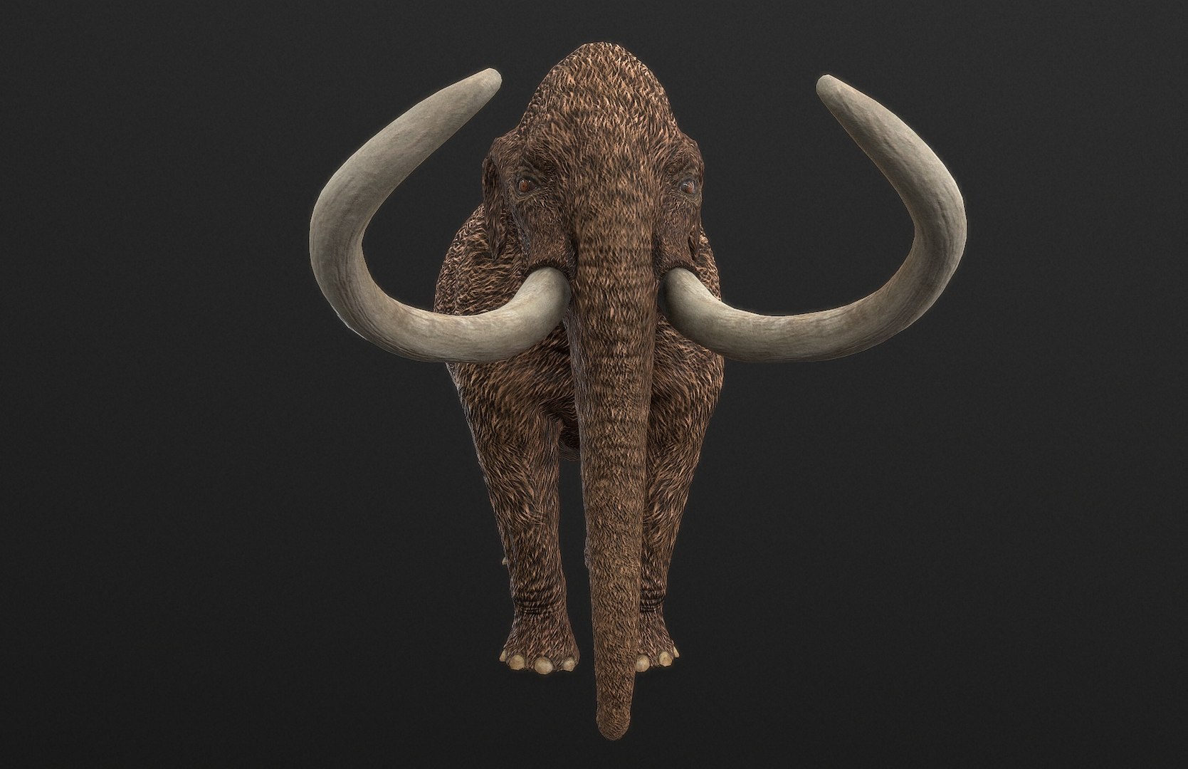 dinosaur rhinoceros 3D model https://p.turbosquid.com/ts-thumb/uY/dmfo4g/jb/181/jpg/1608367695/1920x1080/fit_q87/d0fdeca910dbe148823a38816a13452a54aec1ba/181.jpg