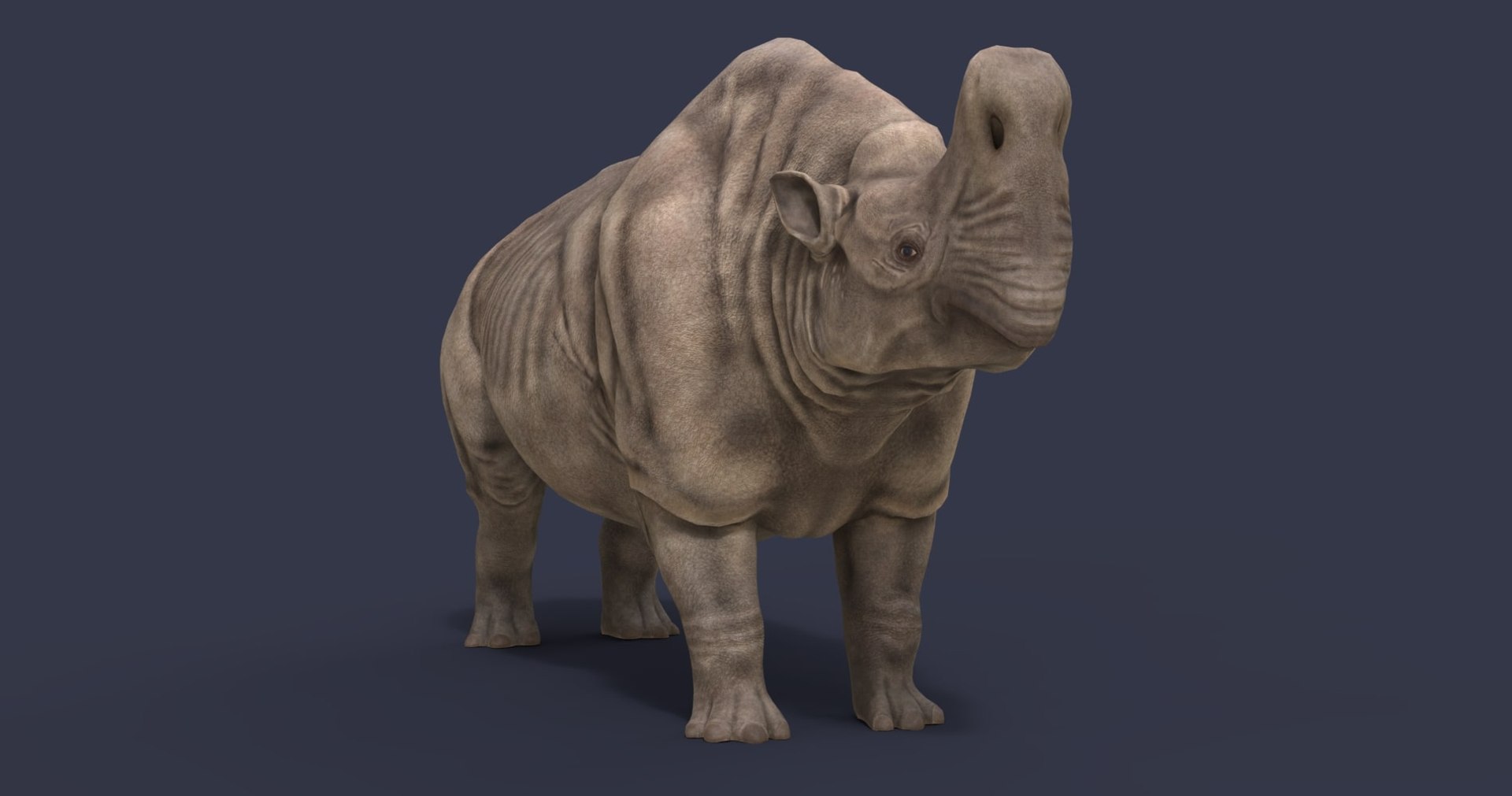 dinosaur rhinoceros 3D model https://p.turbosquid.com/ts-thumb/uY/dmfo4g/kb/42/jpg/1608368711/1920x1080/fit_q87/725e65419fa74624831939fb1aed259a351cc478/42.jpg