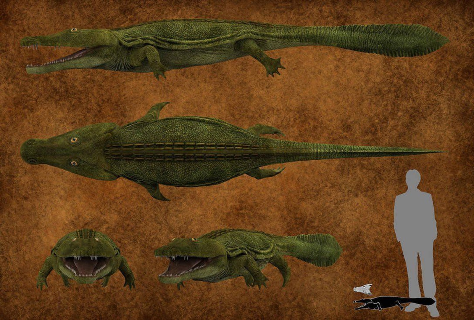 dinosaur rhinoceros 3D model https://p.turbosquid.com/ts-thumb/uY/dmfo4g/mt/80/jpg/1608370654/1920x1080/fit_q87/9fcee7a597c98c9e7d47da3bdcc803ece7f4162d/80.jpg