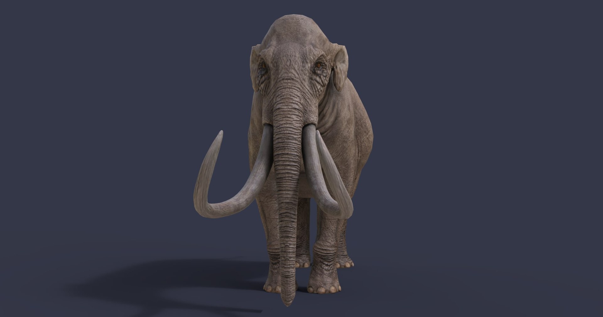 dinosaur rhinoceros 3D model https://p.turbosquid.com/ts-thumb/uY/dmfo4g/n3/3/jpg/1608368033/1920x1080/fit_q87/97ab5ee5ce29df9b79e09906d30986dfec8cdcb2/3.jpg