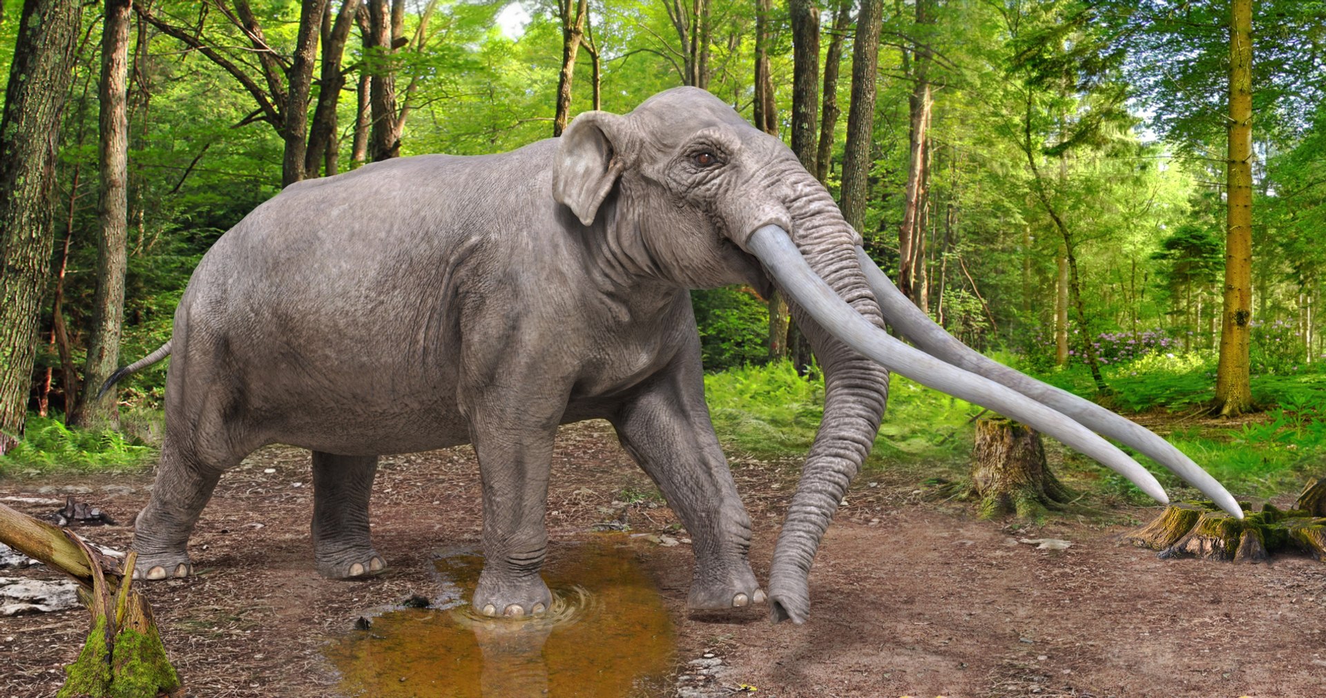 dinosaur rhinoceros 3D model https://p.turbosquid.com/ts-thumb/uY/dmfo4g/pR/53/jpg/1608370233/1920x1080/fit_q87/b2091a836215fbca6191bb991ade2964db30efa4/53.jpg