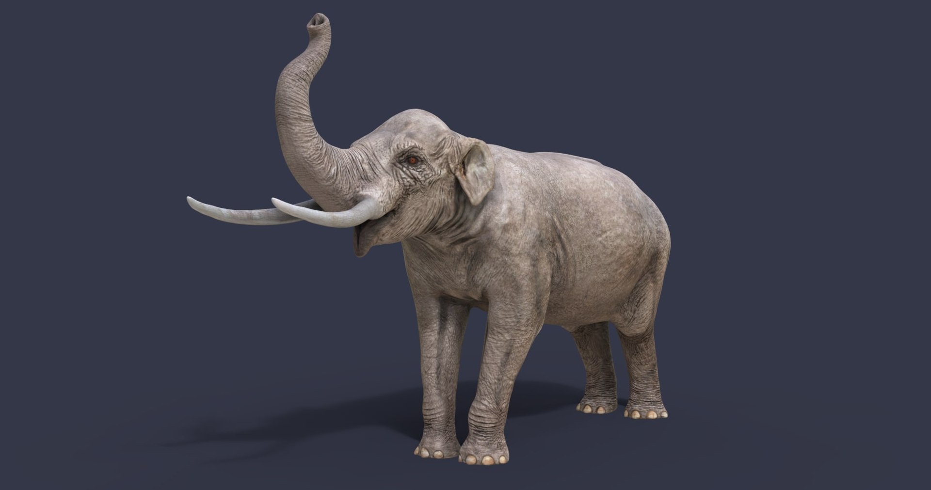 dinosaur rhinoceros 3D model https://p.turbosquid.com/ts-thumb/uY/dmfo4g/pv/24/jpg/1608368695/1920x1080/fit_q87/f42dd7528a7b41732be01572716f6567f2fd3c83/24.jpg