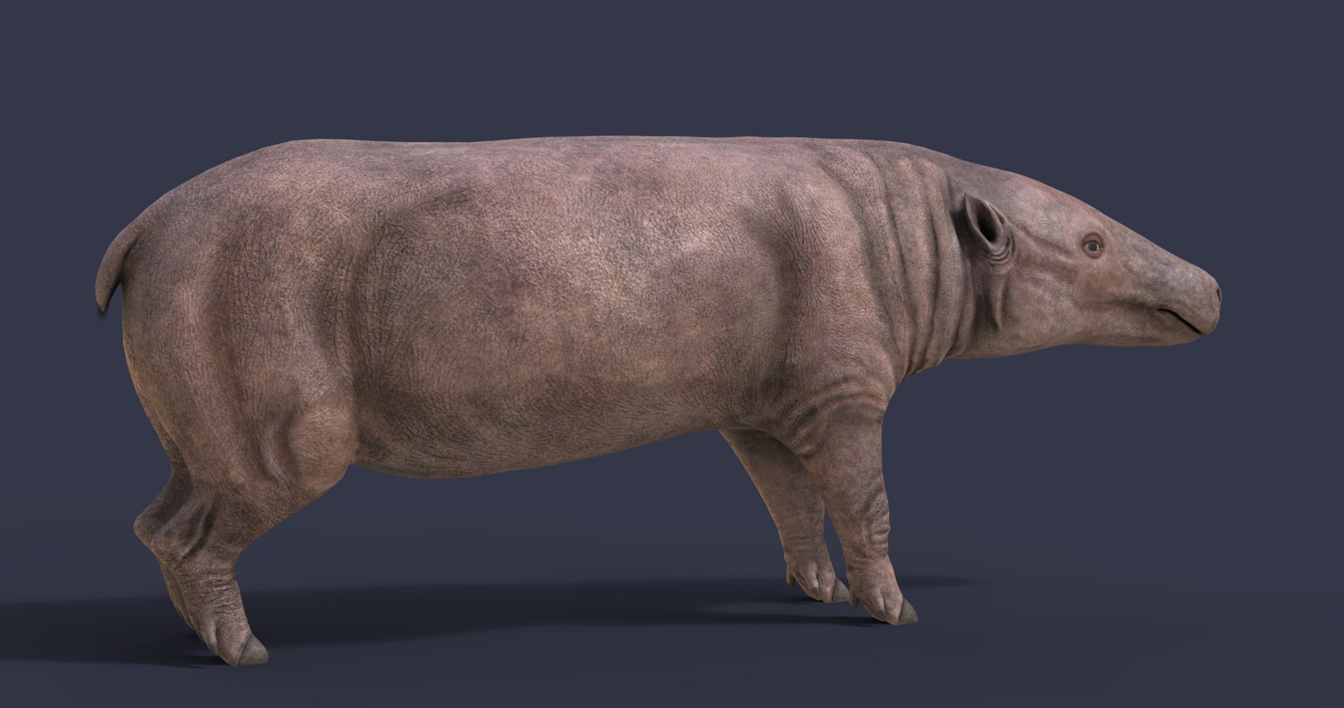 dinosaur rhinoceros 3D model https://p.turbosquid.com/ts-thumb/uY/dmfo4g/rw/18/jpg/1608368087/1920x1080/fit_q87/b34994d40f59544ab34d937eb59e820f1ea749a1/18.jpg