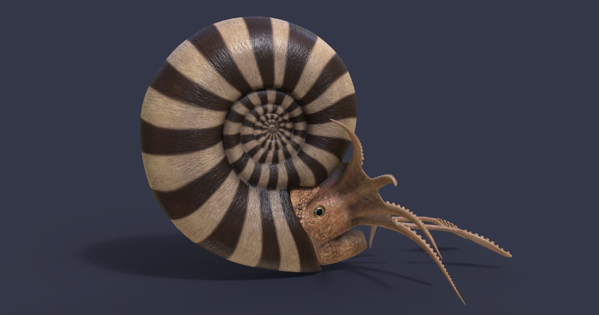 dinosaur rhinoceros 3D model https://p.turbosquid.com/ts-thumb/uY/dmfo4g/tX/34/jpg/1608368703/1920x1080/fit_q87/4c06e4f823a0c24cc3acb1dd0b676000b28a9984/34.jpg