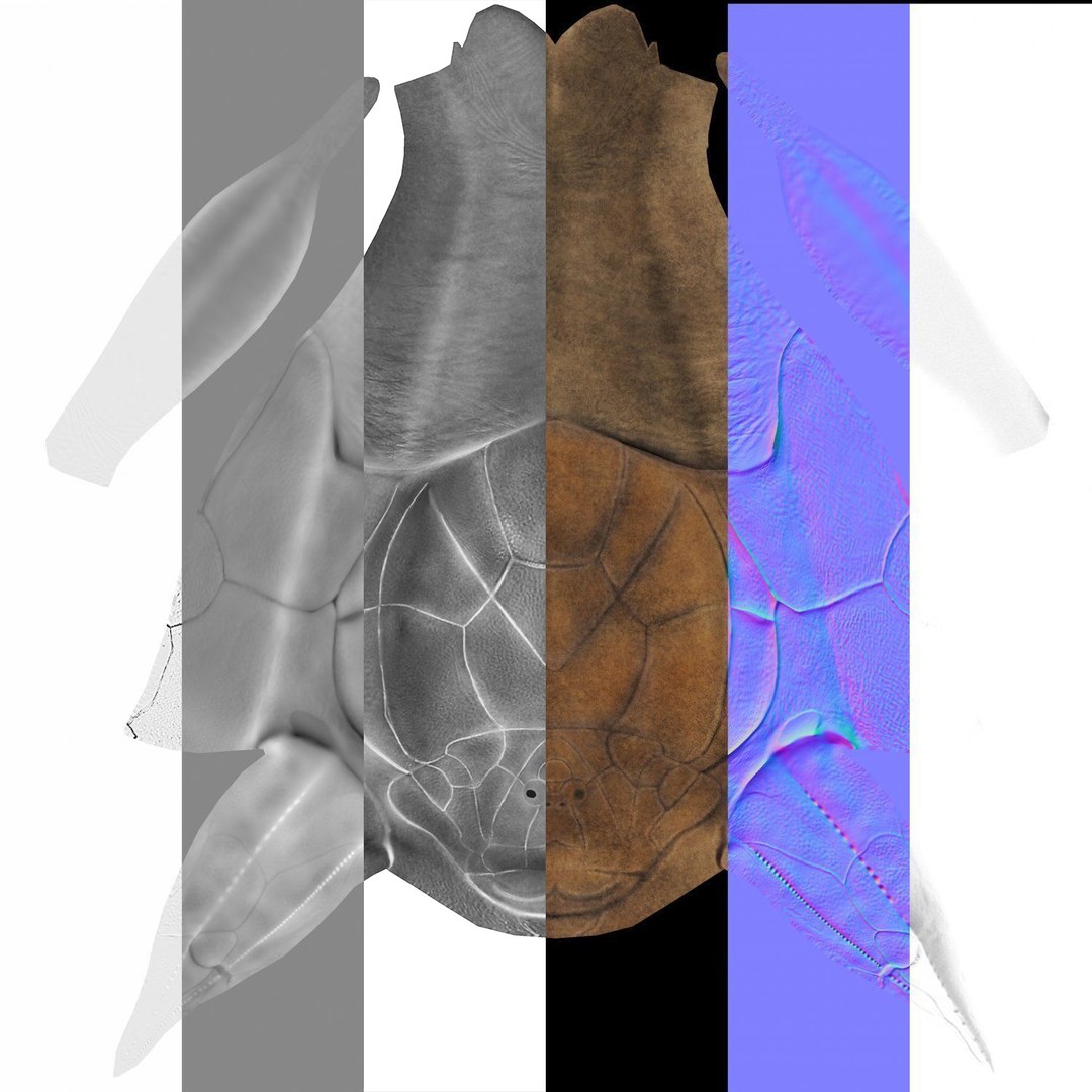 dinosaur rhinoceros 3D model https://p.turbosquid.com/ts-thumb/uY/dmfo4g/xB/177/jpg/1608367694/1920x1080/fit_q87/f2de690b327234cec8c542331cb0e7ef374f6f7a/177.jpg