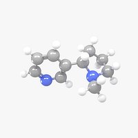 Nicotine - C10H14N2 Molecular Structure