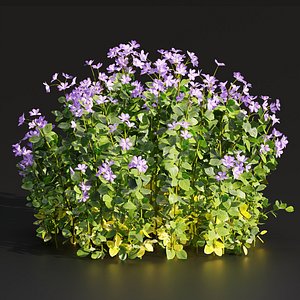 Periwinkle flowering plants vol 185-Blender-3dmodel 3D model