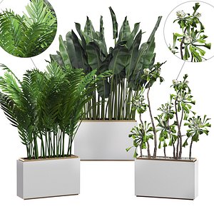3D potted plants set 13 model