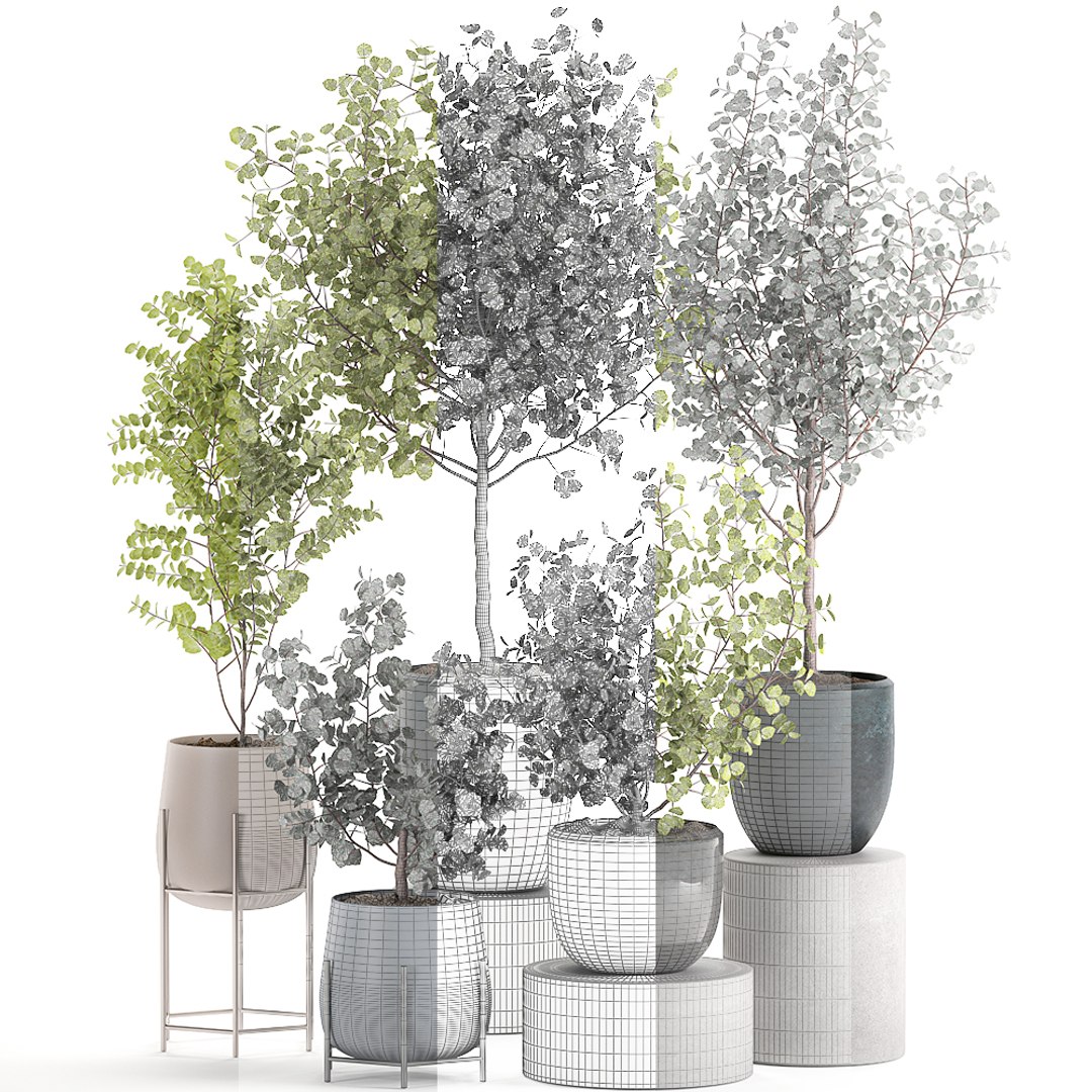3D decorative trees interior pots model https://p.turbosquid.com/ts-thumb/uZ/2vIDEm/EoiWDCpO/eucalyptus2005202007/jpg/1590064022/1920x1080/fit_q87/33bb992a2376876d492eccdfc948f2f09f422cb2/eucalyptus2005202007.jpg