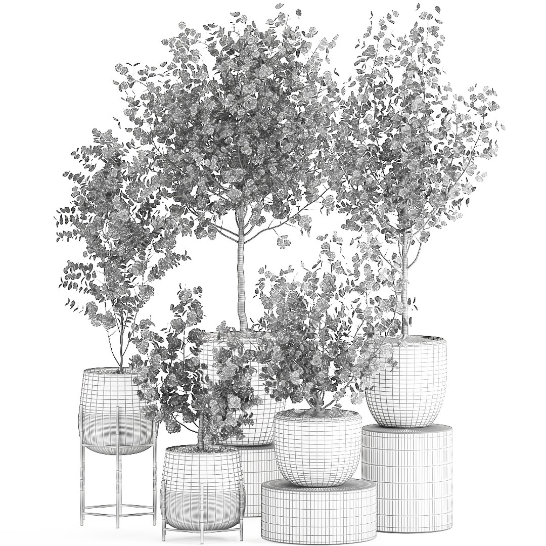 3D decorative trees interior pots model https://p.turbosquid.com/ts-thumb/uZ/2vIDEm/KOHRRp9B/eucalyptus2005202009/jpg/1590064022/1920x1080/fit_q87/fa9ec8c70dafbc488980f9792dbb4677b67712c7/eucalyptus2005202009.jpg