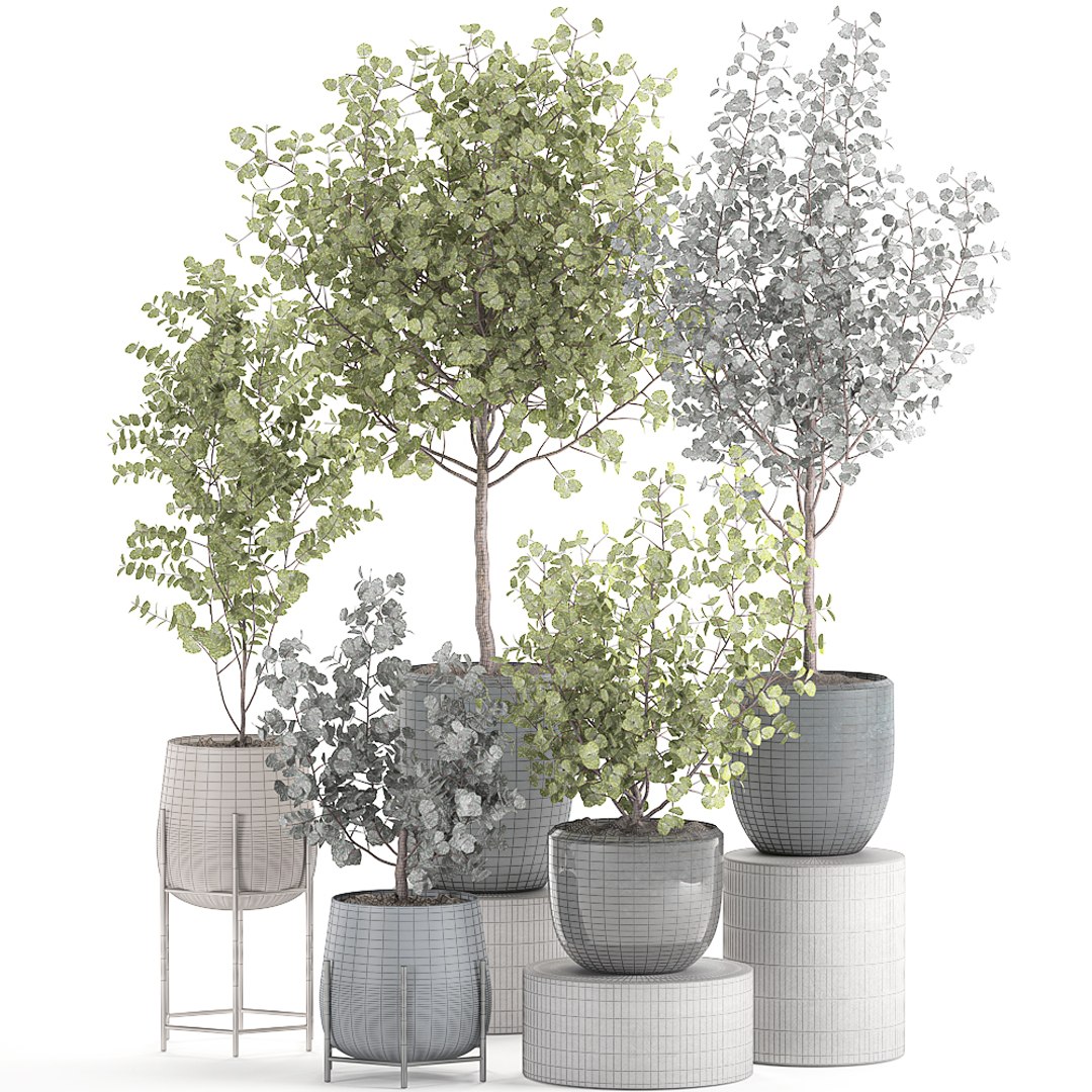 3D decorative trees interior pots model https://p.turbosquid.com/ts-thumb/uZ/2vIDEm/v3w94EbE/eucalyptus2005202008/jpg/1590064022/1920x1080/fit_q87/8f7a5637377ce2b0ca470ccf488355cd253b04da/eucalyptus2005202008.jpg