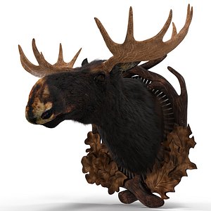 3D Stuffed moose