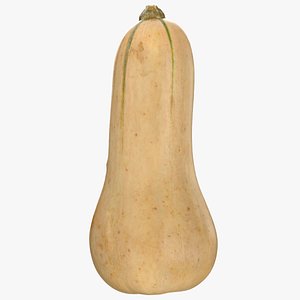 Butternut Squash 02 - Raw Scan