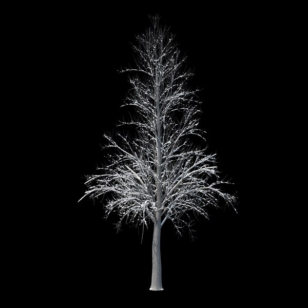 3D winter tree 032 snow model