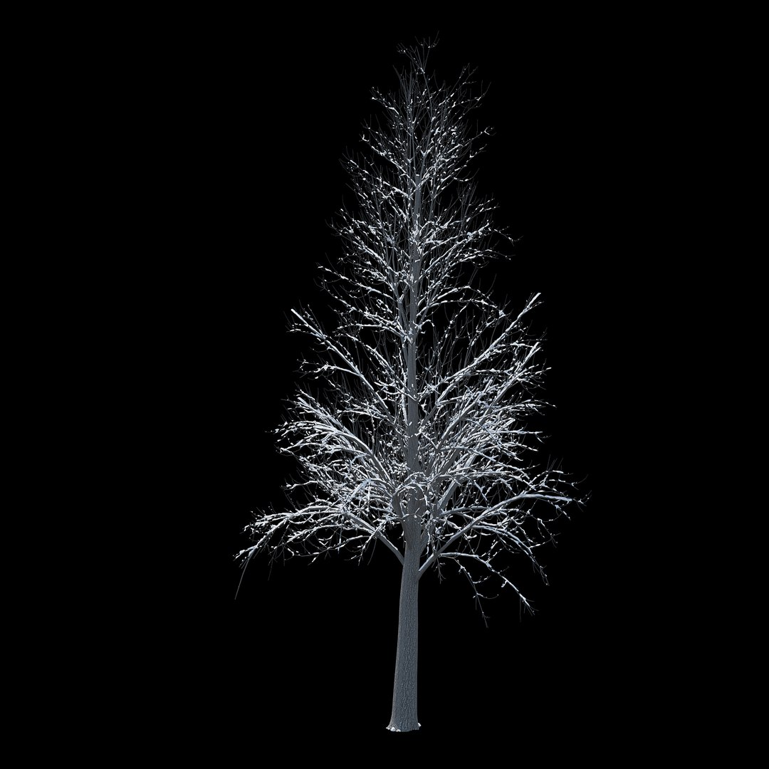 3D winter tree 032 snow model - TurboSquid 1236918
