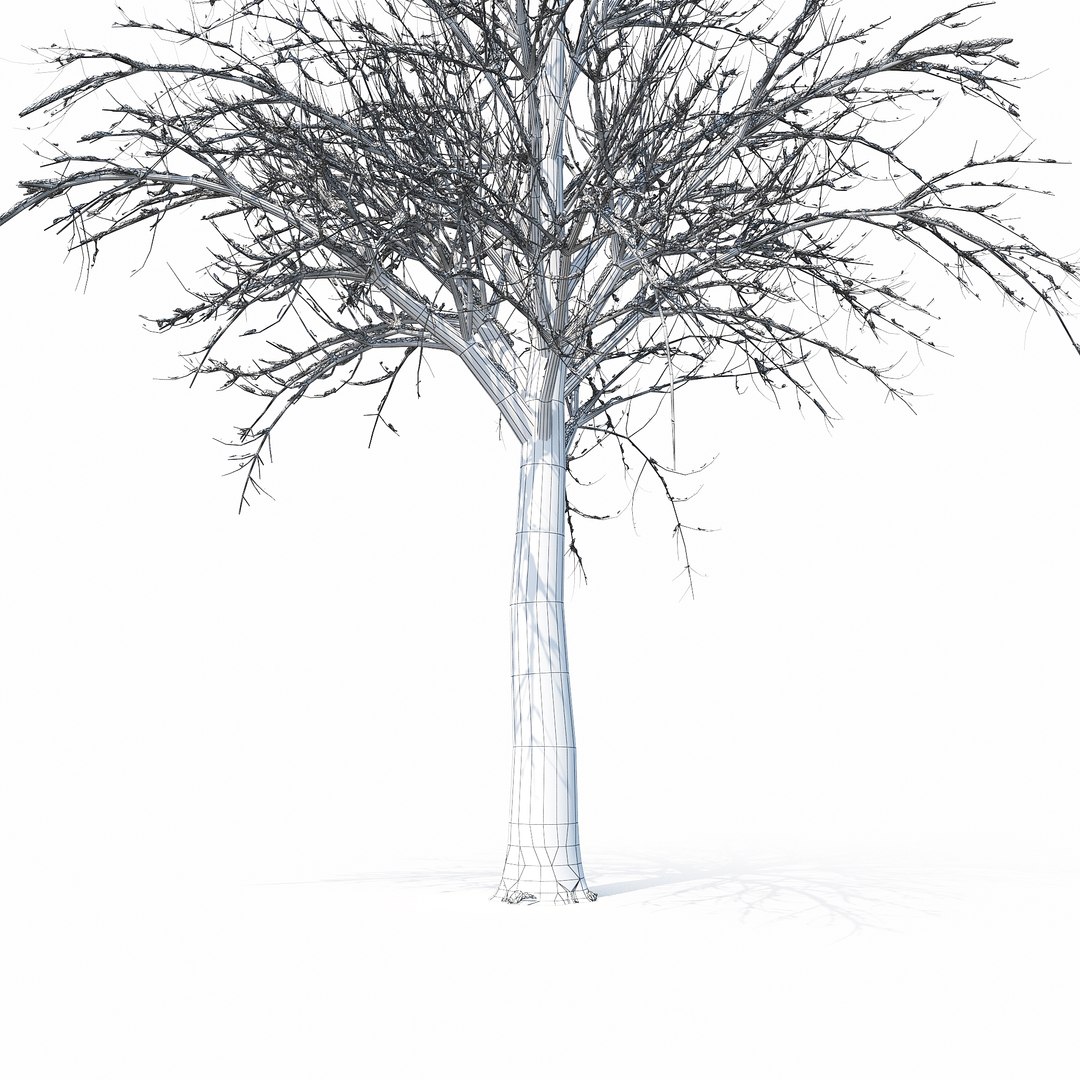 3D winter tree 032 snow model - TurboSquid 1236918